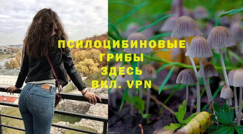 Псилоцибиновые грибы Magic Shrooms  Осинники 